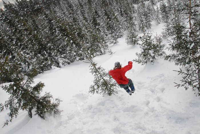 056 Expedice GEMINI 2006